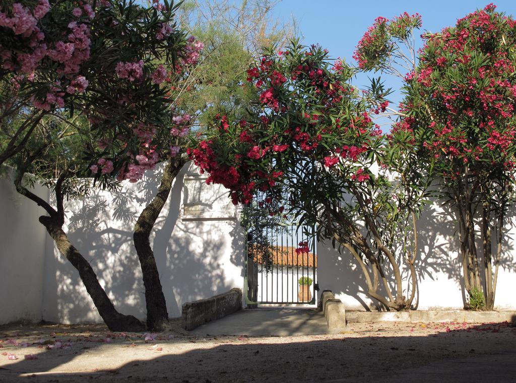 Hotel Cacharel Saintes-Maries-de-la-Mer Esterno foto