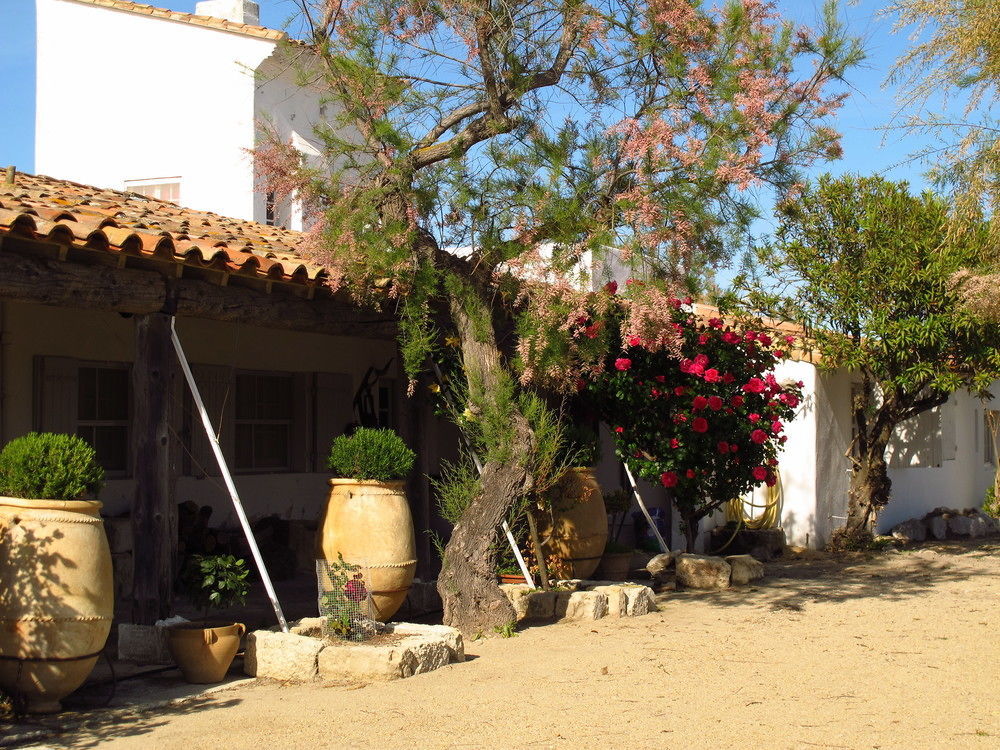 Hotel Cacharel Saintes-Maries-de-la-Mer Esterno foto